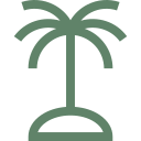 Palm Tree Symbol
